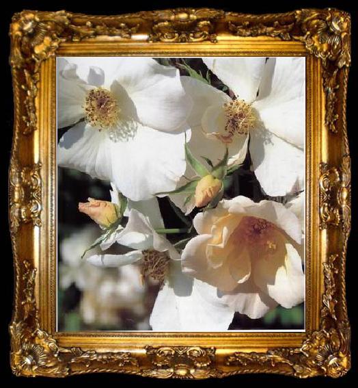 framed  unknow artist Still life floral, all kinds of reality flowers oil painting  134, ta009-2